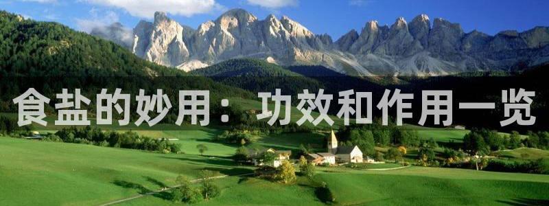 威九国际视频传媒招聘