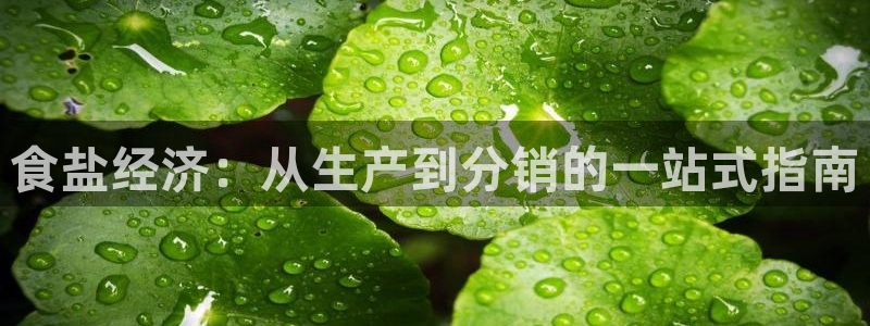 66m威九国际成长模式