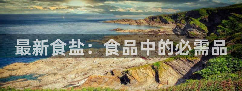 威九国际PPT