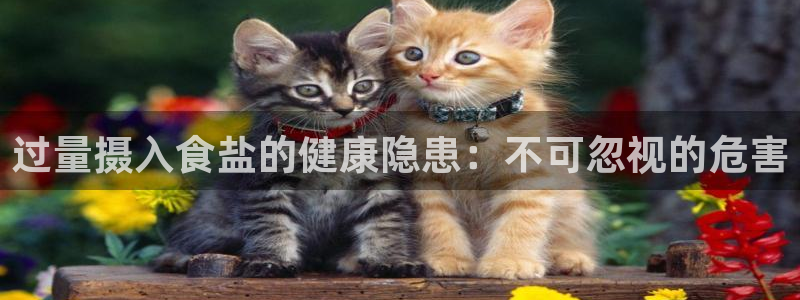 威九国际78mb下载