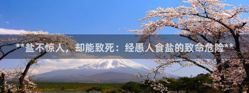 78mapp威九国际网页版