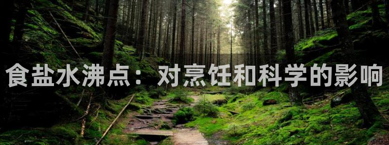 威九国际