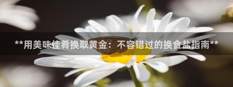威九国际国精彩片段