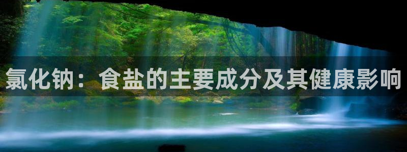 威九国际app网站官网