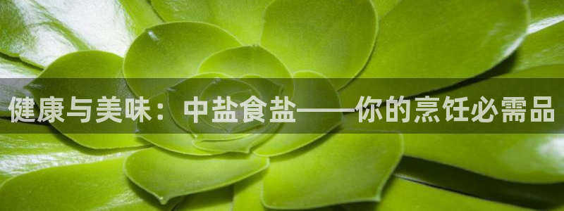 威九国际娜娜