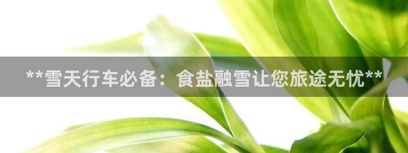 威九国际78mb特点