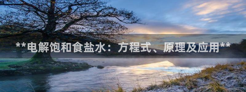 威九国际官方入口官网