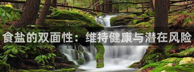 威九国际可以退钱吗怎么退款