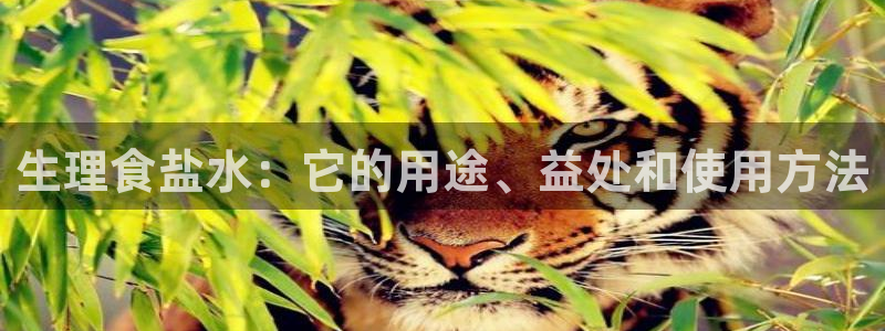 威九国际最新