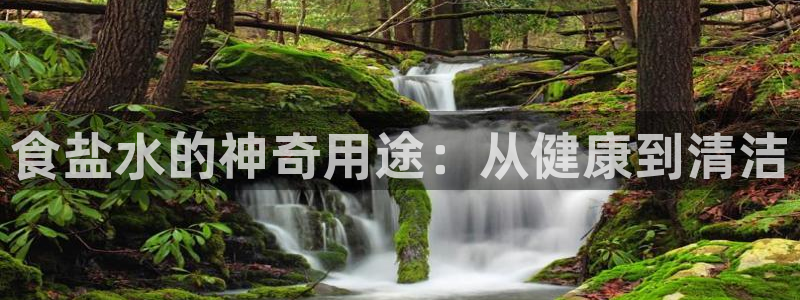 威九国际网站入口地址