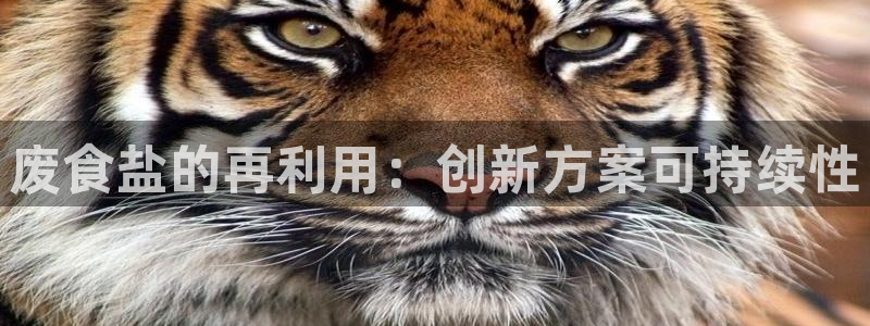 威九国际第一页