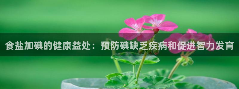 威九国际精免费下载