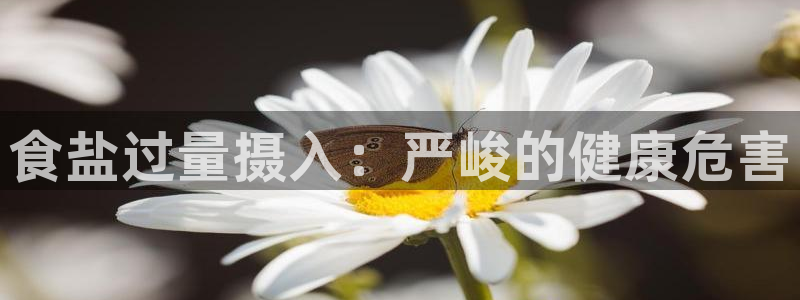 威九国际在线平台怎么样啊