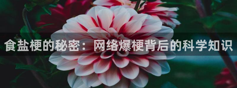 威九国际合作伙伴有哪些