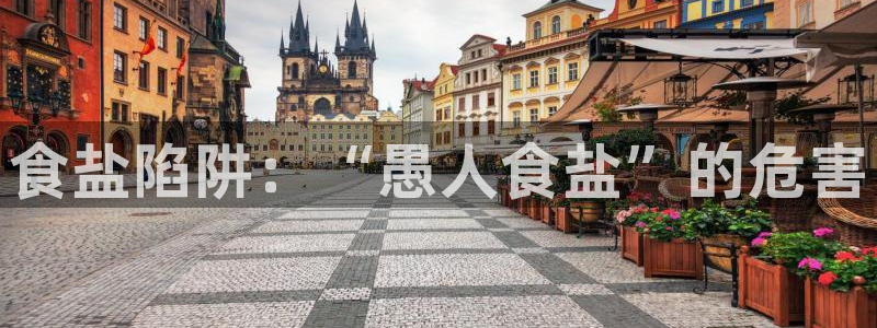 威九国际HP