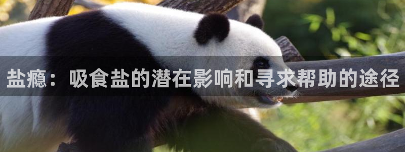 威九国际网站经常打不开
