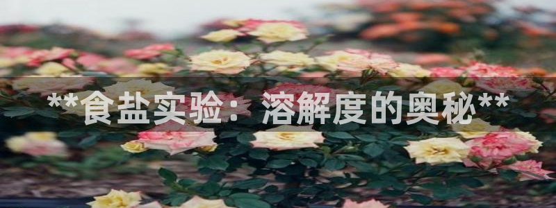 威九国际瘫痪丈夫眼见证