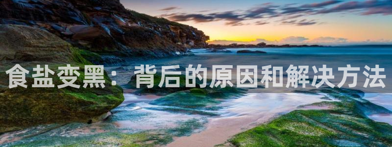 威九国际网页看视频弹窗的广告拦截插件