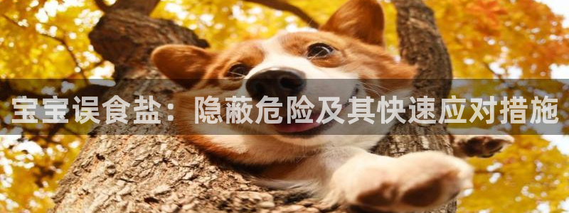 威九国际提款不出来