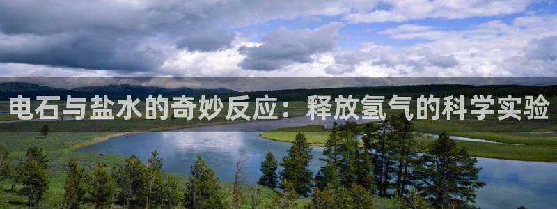 威九国际网站入口官网免费