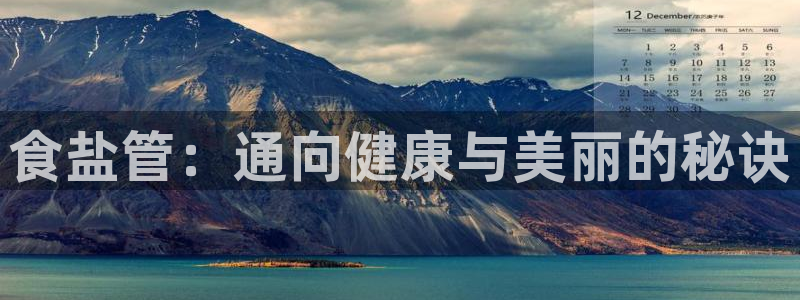 威九国际电视
