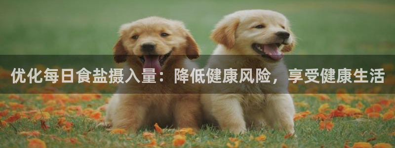 威九国际韩国