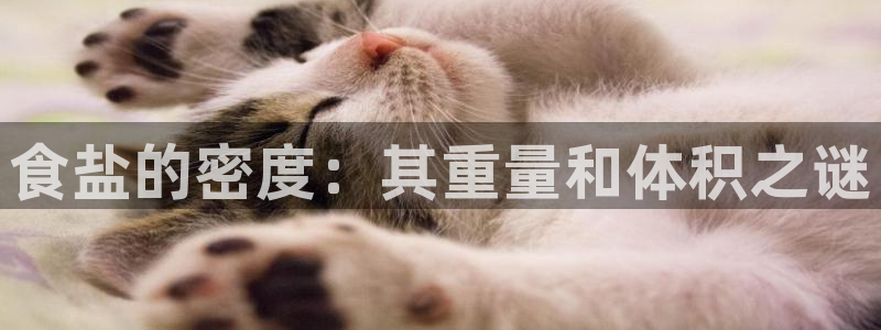 威九国际留学