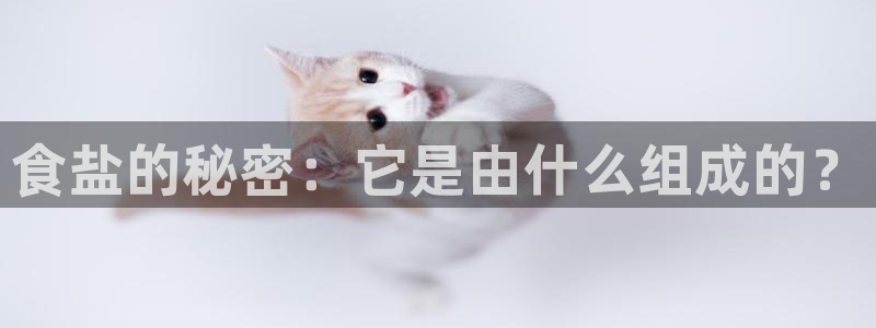 威九国际