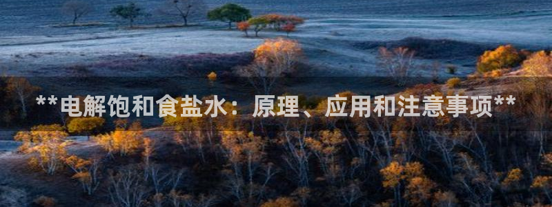 威九国际AN
