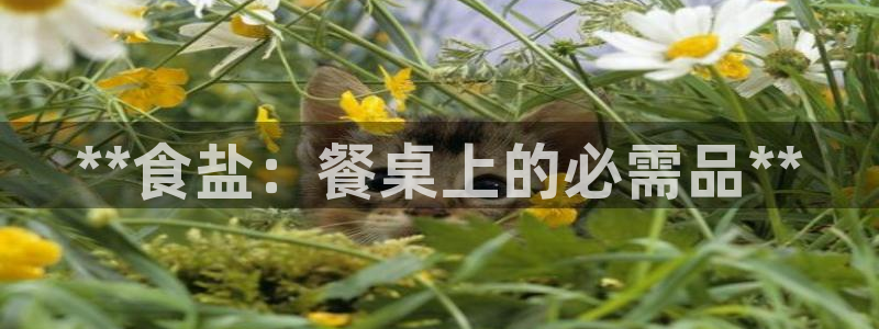 威九国际客服电话