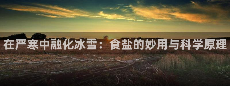 78mapp威九国际官网版