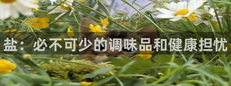 威九国际人民网