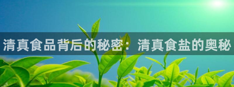 威九国际78mob游戏特色