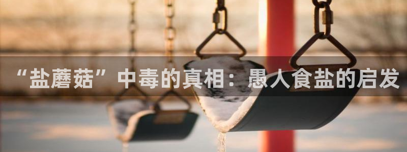 66m威九国际成长模式