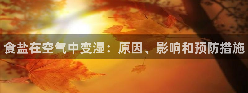 威九国际地址