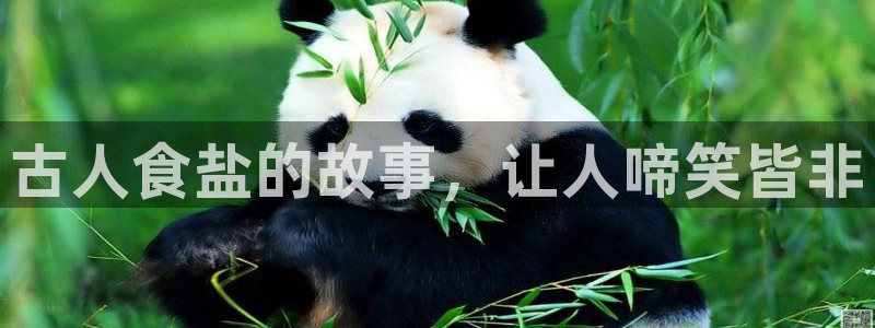 威九国际网站入口官网首页下载