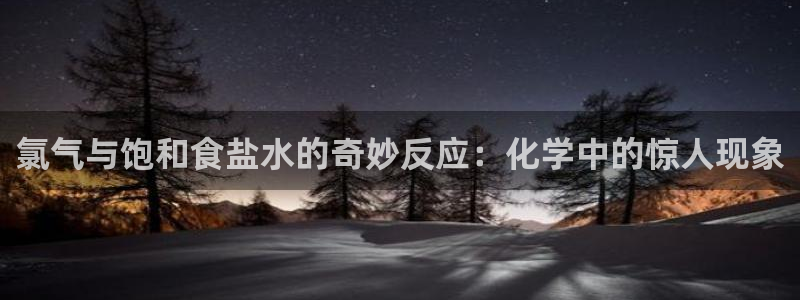 保定威九网络科技有限公司怎么样