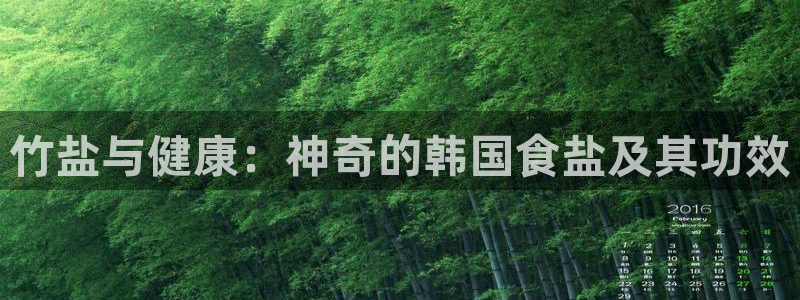 威九国际软件