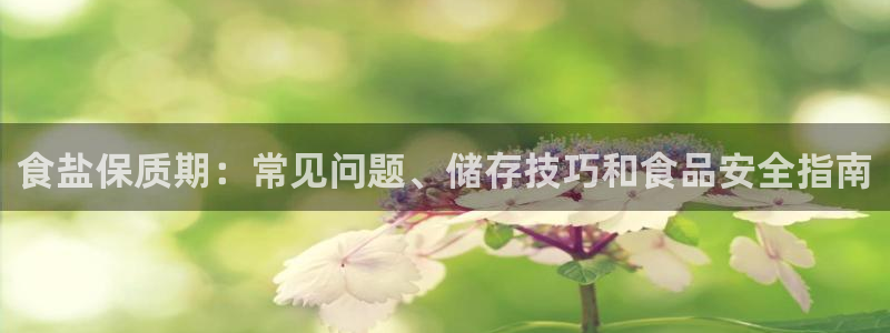 威九国际精选