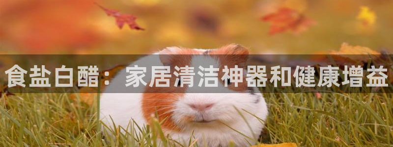 威九国际网站传媒