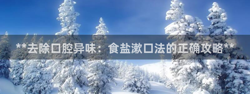 威九国际演员表
