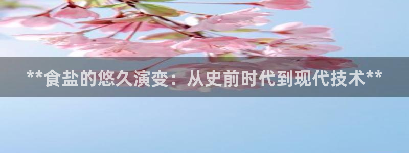 威九国际ppt免费