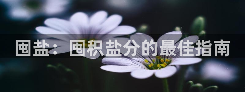 78mapp威九国际成长视频