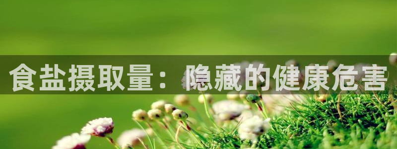 保定威九网络科技有限公司招聘