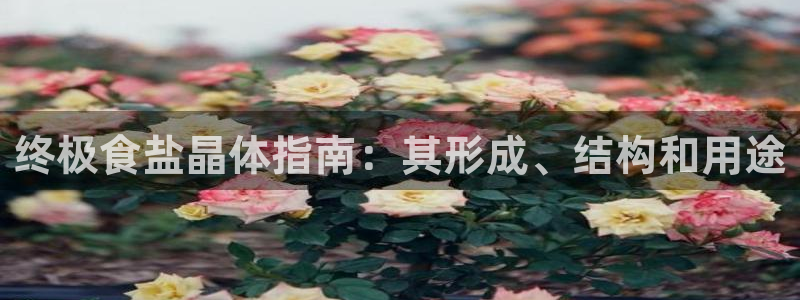 威九国际客服电话号码查询