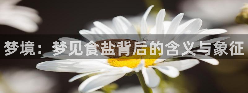 威九国际网站人入口