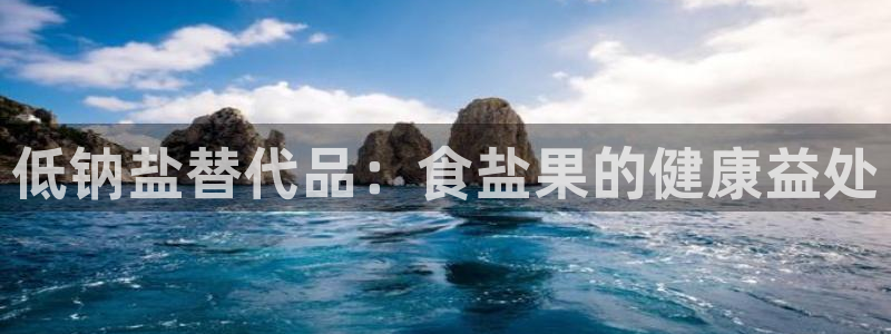 威九国际v8