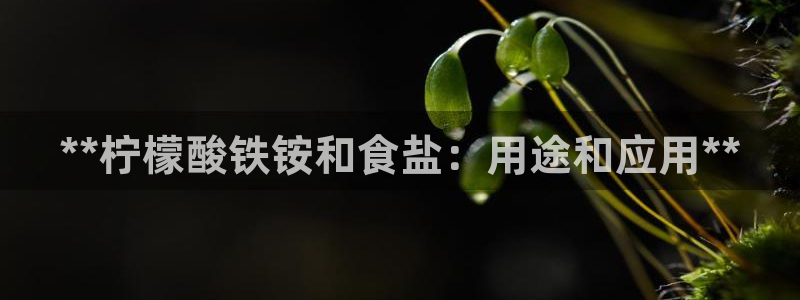 威九国际网站游戏
