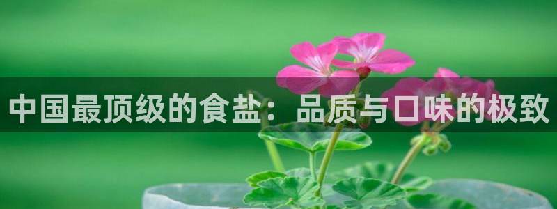 78mapp威九国际成长视频