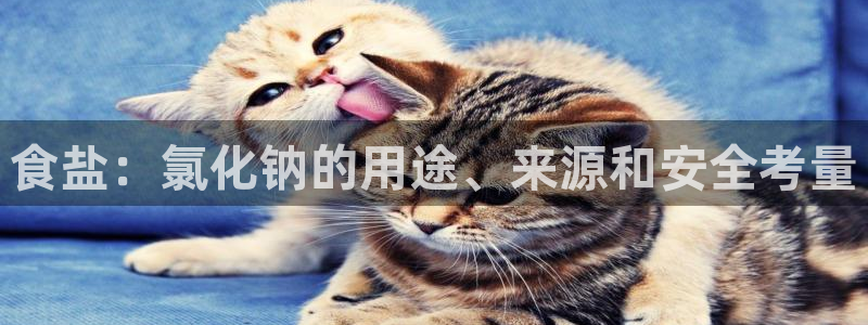 威九国际78mob游戏说明